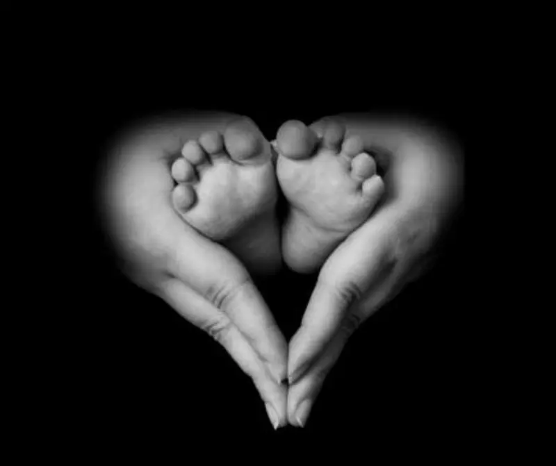 Baby's Feet In Hands Shaped Like A Heart